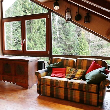 Fewo Schwarzwaldblick, 3 Schlafzimmer Todtnau-Muggenbrunn, Liftverbund Feldberg Exteriör bild