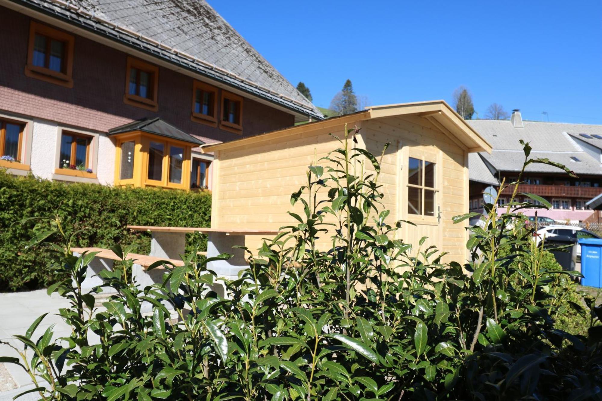 Fewo Schwarzwaldblick, 3 Schlafzimmer Todtnau-Muggenbrunn, Liftverbund Feldberg Exteriör bild