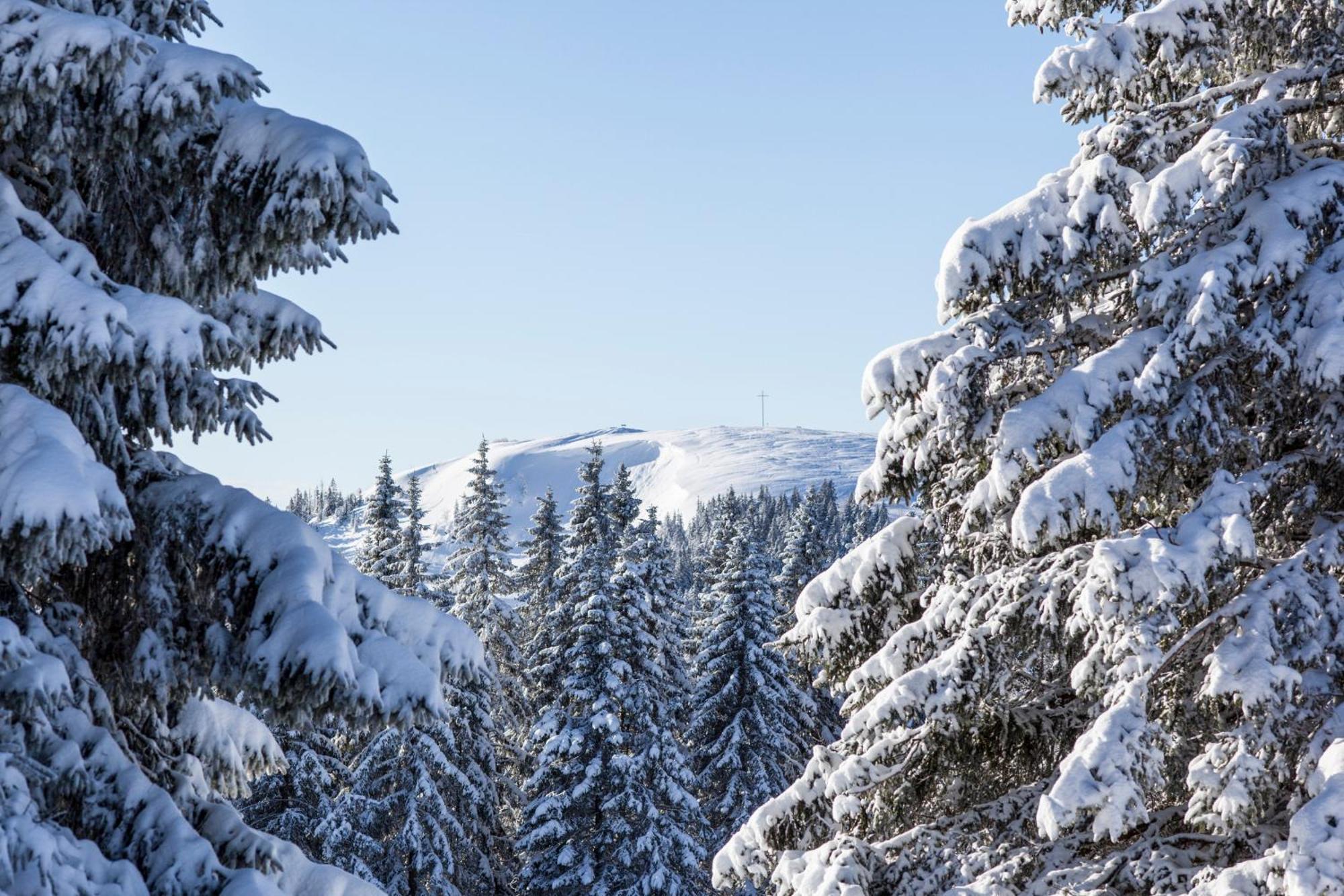 Fewo Schwarzwaldblick, 3 Schlafzimmer Todtnau-Muggenbrunn, Liftverbund Feldberg Exteriör bild